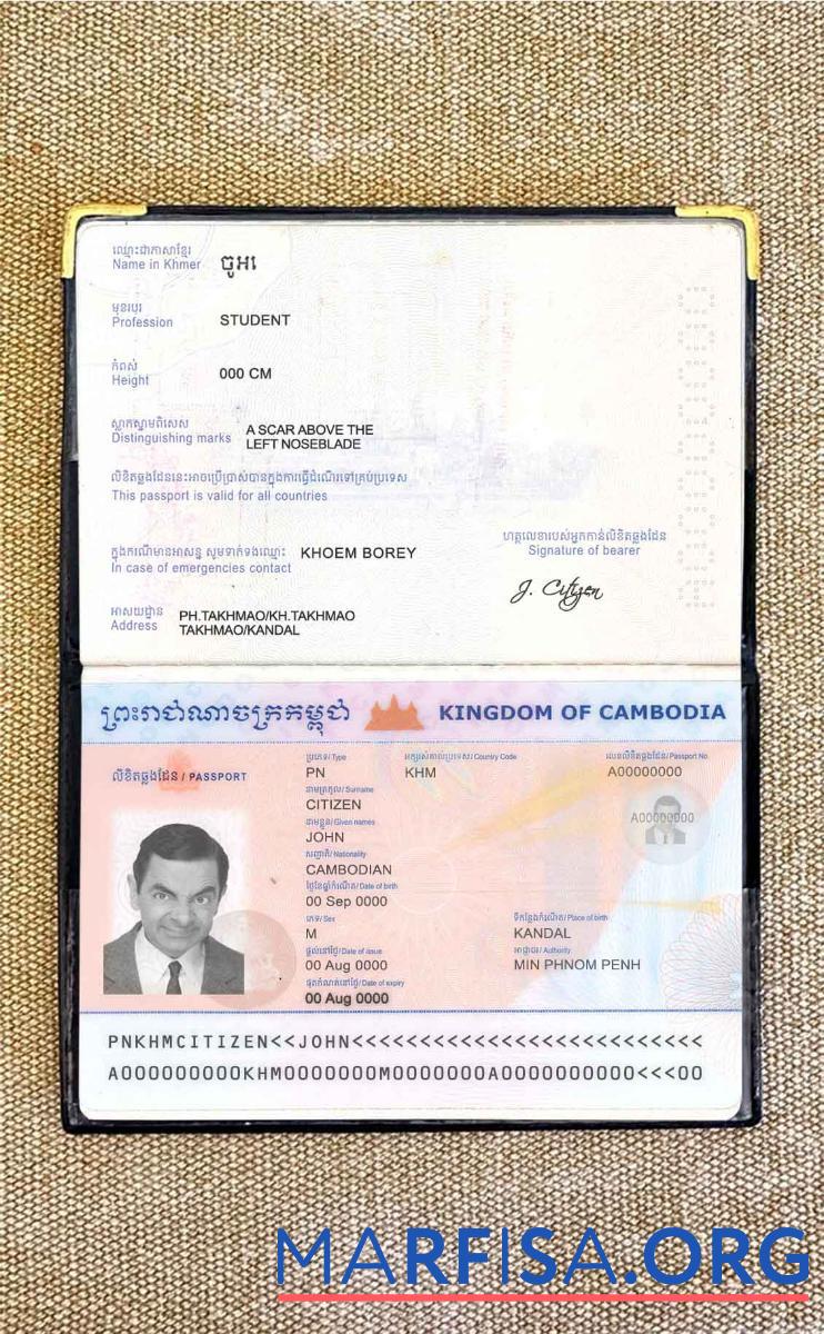 Downloadable Cambodia passport photo look real example